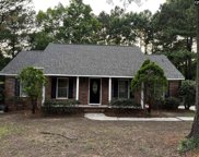 124 Wychwood Road, Irmo image