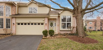 2210 Worthing Drive, Naperville