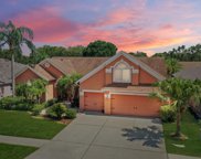 4311 Buckhorn Groves Court, Valrico image