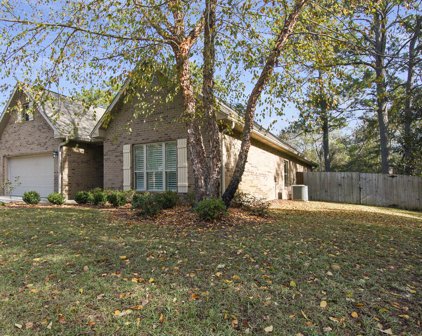 123 Big Oak Lane, Santa Rosa Beach