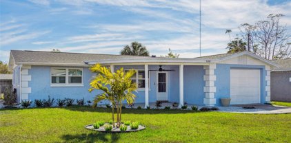 3248 Seffner Drive, Holiday
