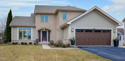828 Clearcroft Avenue, Bolingbrook