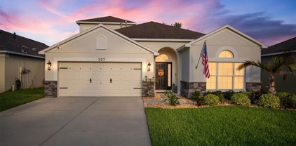 307 Taxter Run Lane, Valrico