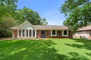 5201 Apple Springs Drive, Pearland image