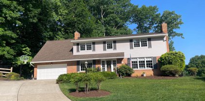 6702 Norview Ct, Springfield