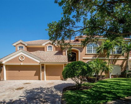 7696 Aralia Way, Seminole