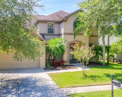 2914 Northfield Drive, Tarpon Springs