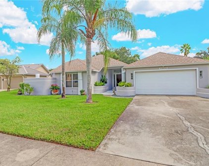 13610 Willow Bridge Drive, North Fort Myers