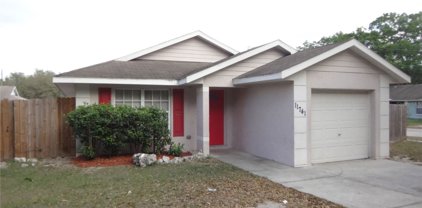 11741 Lynn Brook Circle, Seffner
