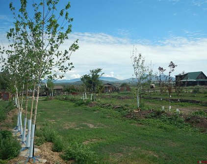 4 El Dorado, South Fork
