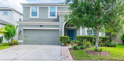 10607 Pictorial Park Drive, Tampa