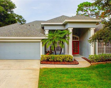 1703 Anglers Court, Safety Harbor