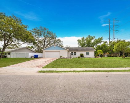 259 Dunbridge Drive, Palm Harbor