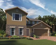 598 Bellingham Way, Minneola image
