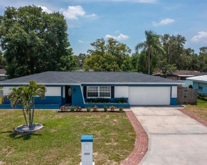 2019 Magnolia Drive, Clearwater