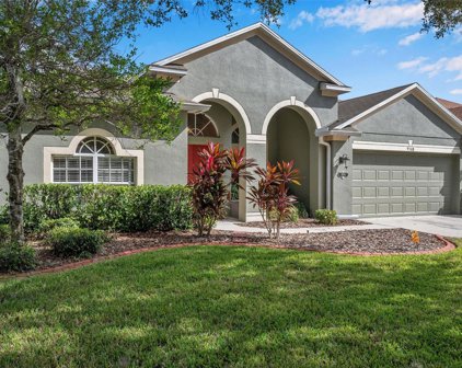 9508 Laurel Ledge Drive, Riverview