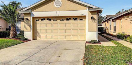 19425 Weymouth Drive, Land O' Lakes