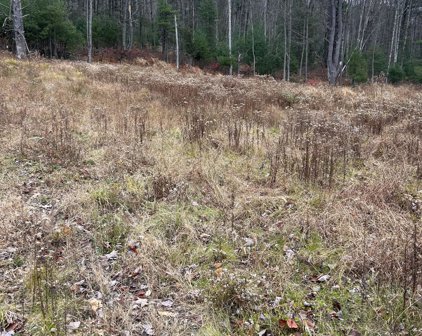 1585 MOUNTAIN ROAD, Montoursville
