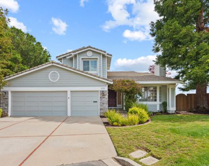 936 Heather DR, San Carlos