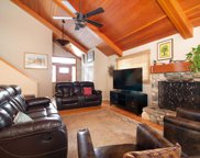 106  Dandelion, Sun Valley image