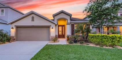 29970 Chapel Chase Drive, Wesley Chapel