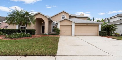 14784 Burntwood Circle, Orlando