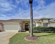 1105 Flora Vista Street, Trinity image