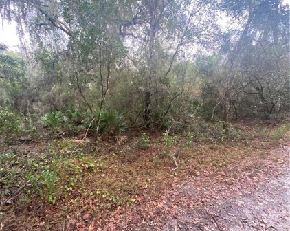4225 S Tamarak Point, Inverness