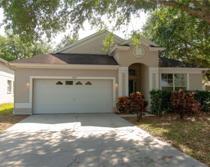 17237 Whisper Breeze Way, Land O' Lakes