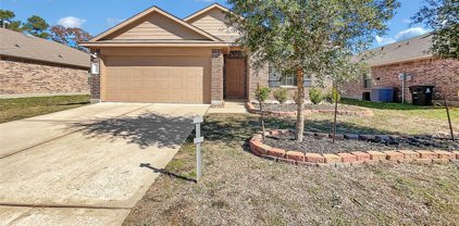 23410 Elsie Wood Drive, Spring