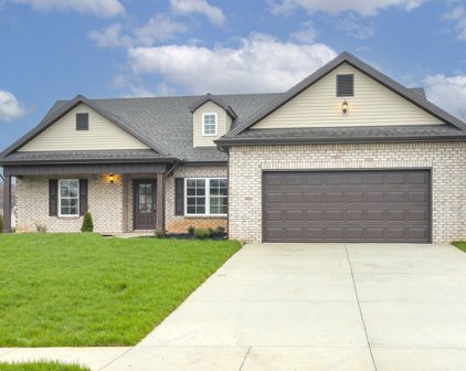 98 Pinnacle Point Lane, Tullahoma