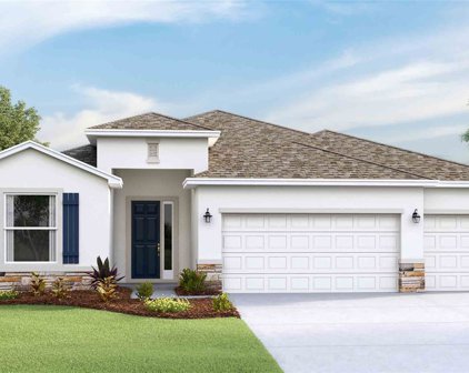 23051 Scaglione Drive, Lutz