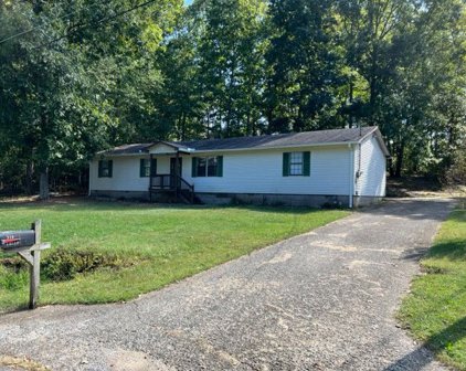 310 Hollow St, Hohenwald