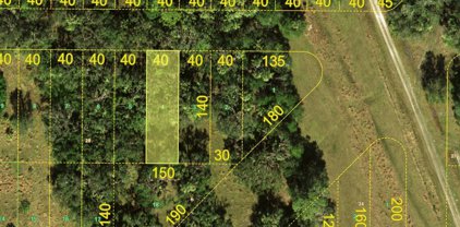 Lot 4 Inaccessible Road, Punta Gorda