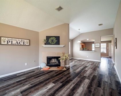 6319 Nullarbor Court, Katy