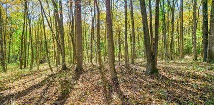 94.5 Acres Crest Hill Rd, Marshall