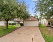 7826 Blue Wahoo Lane, Cypress image