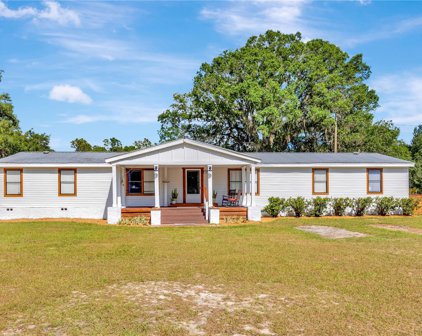 11040 Browning Road, Lithia