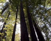00 Slate Creek Rd, La Honda image