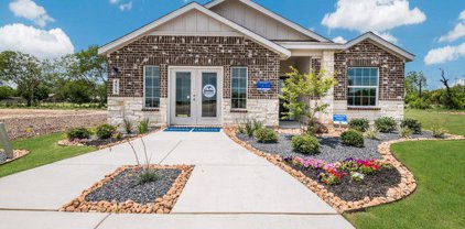 9129 Honey Mesquite, Seguin