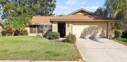 3108 Teal Terrace, Safety Harbor