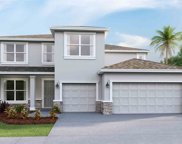 23187 Pachino Way, Lutz image