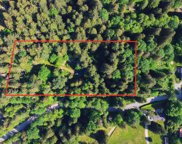 23287 141 Avenue, Maple Ridge image