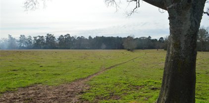 TBD 001 Wiggins, Conroe