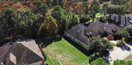 2926 S Cotswold Manor Drive, Kingwood