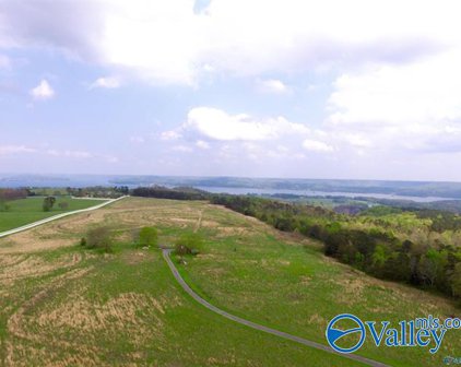 77 ACRES Martin Lane, Guntersville