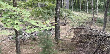 13.62 Acres TOWNLINE ROAD, Wisconsin Rapids