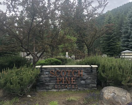 165 W Jeffrey Pine Road, Reno