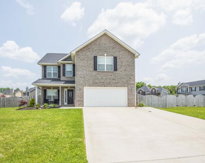 3334 Song Sparrow Drive, Maryville