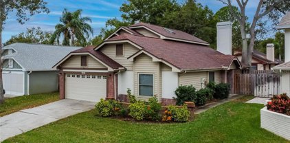 2240 Springflower Drive, Clearwater